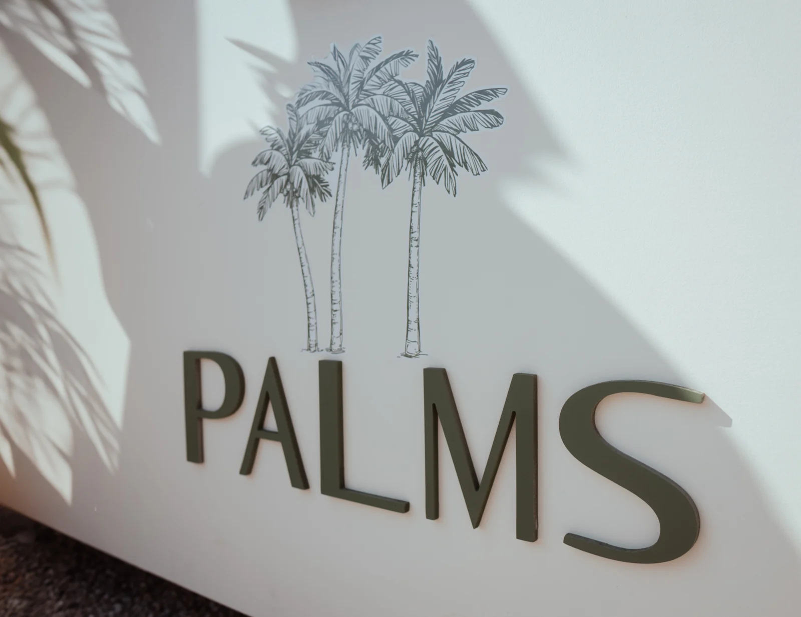 PALMS coffee cup with palm tree branding